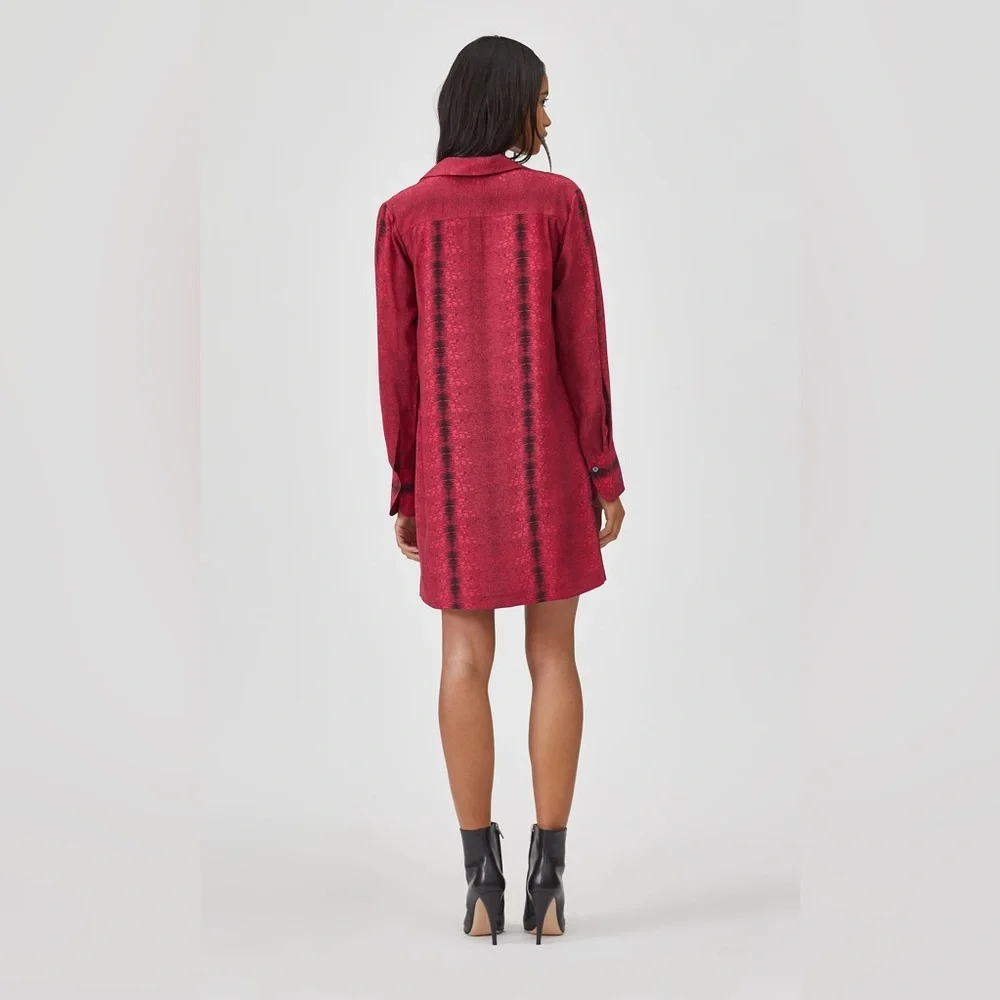 Nwot EQUIPMENT Riannon Silk Dress - Picture 4 of 11